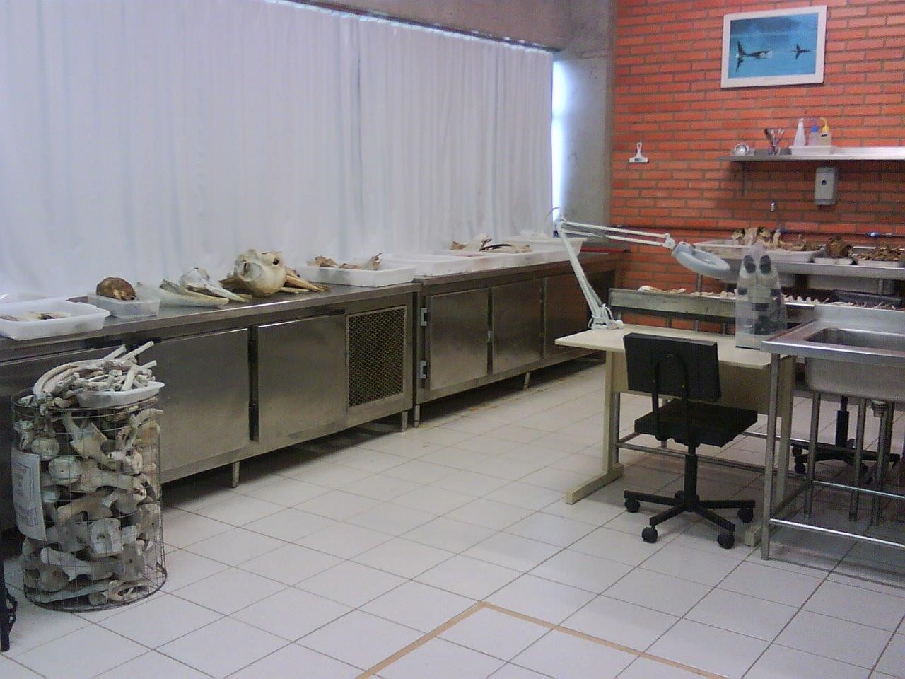 Figura 27.jpg